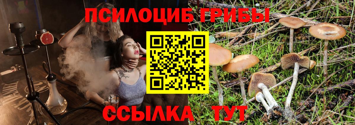 Псилоцибиновые грибы мухоморы Берёзовский