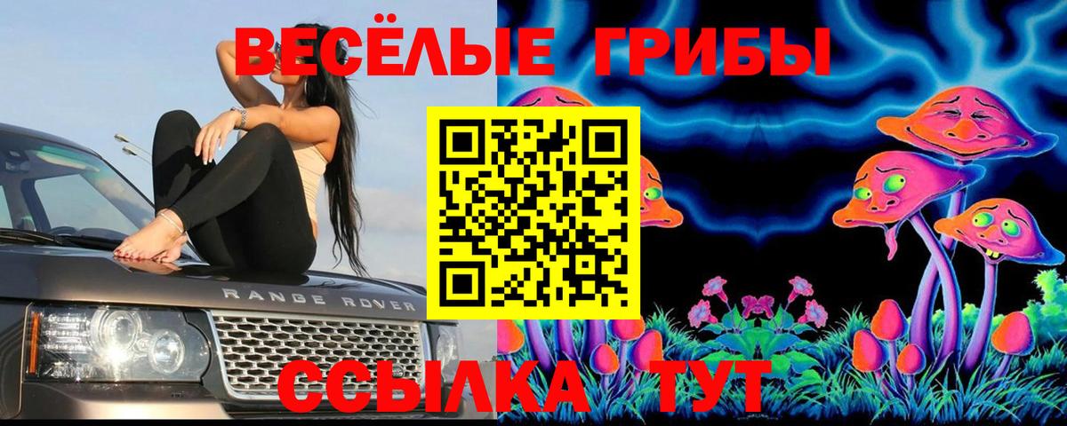 Псилоцибиновые грибы Psilocybine cubensis  Вход с VPN  Берёзовский 